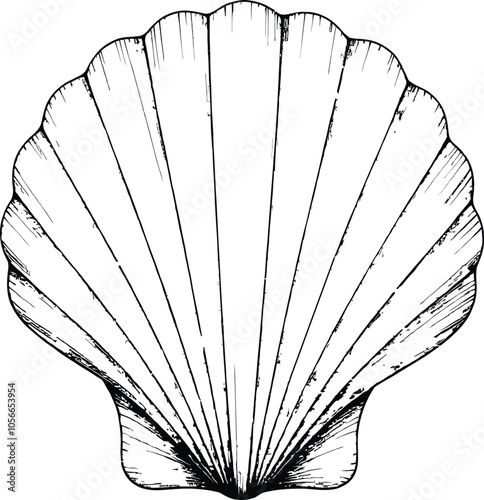 Cute Seashell Hand Drawn Clipart Vector Line Art Illustration, Coloring Pages For Toddlers