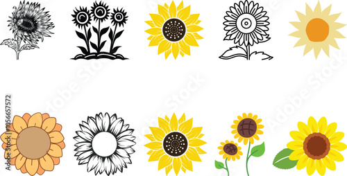 Sunflower icon set collection