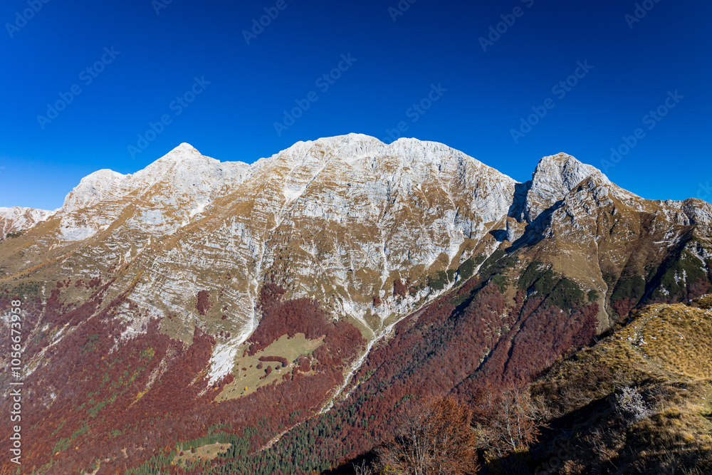 Foliage in the woods of Val di Resia, Friuli-Venezia Giulia