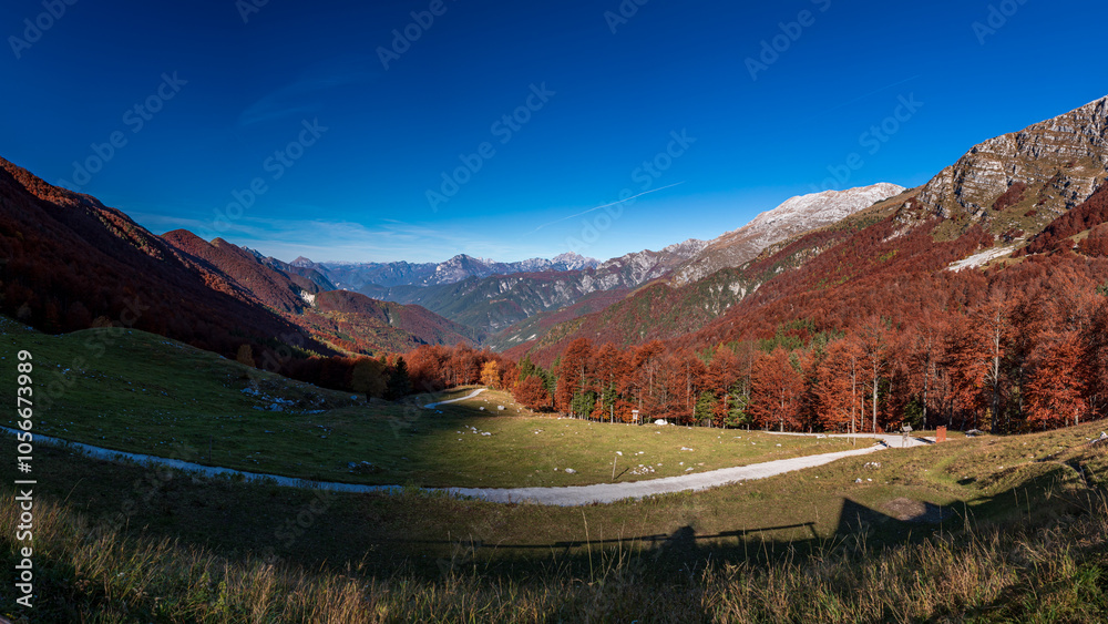 Foliage in the woods of Val di Resia, Friuli-Venezia Giulia