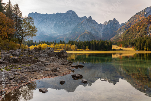 Foliage in the woods of Julian Alps
