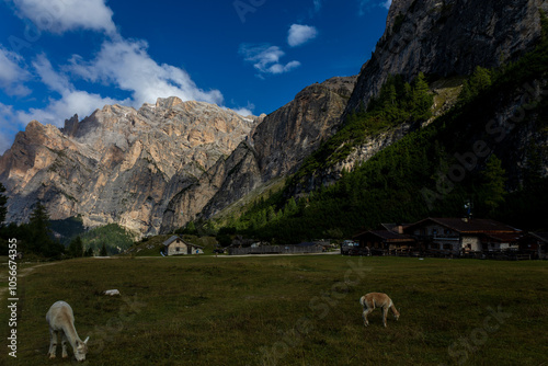 Obraz na płótnie Autumn trekking in Alta Badia w salonie