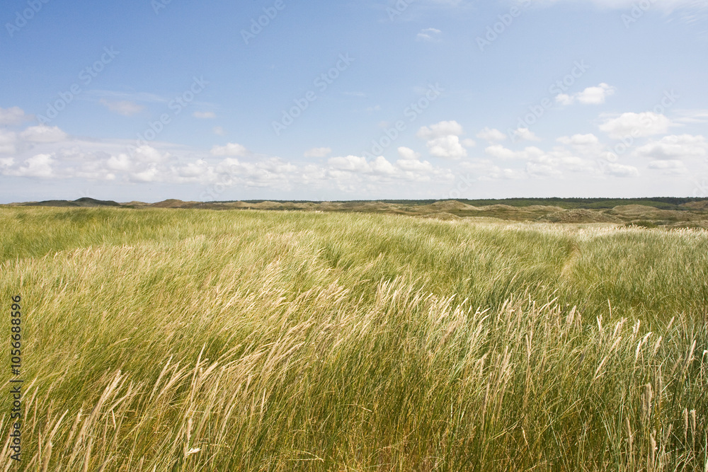Landscape on Wadden Island Texel, Netherlands. Landscape on Wadden Island Texel, Netherlands.