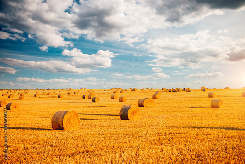 Harvesting straw bales in the agricultural field under blue sky with clouds.