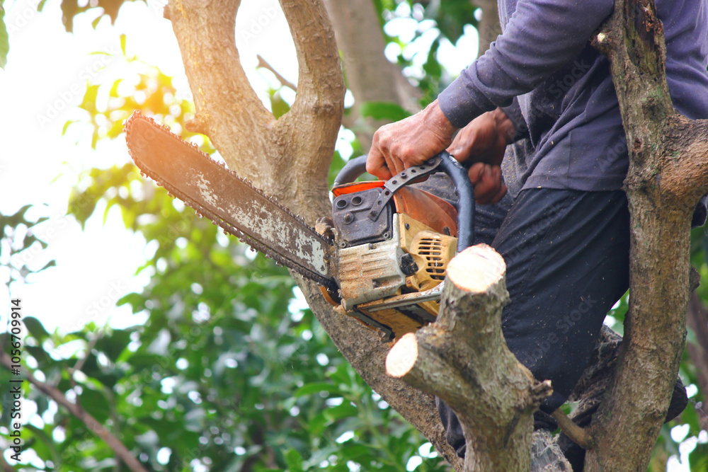 Naklejka premium close up lumberman on tree while using chainsaw sawing wood in to pieces against blue sky white cloud