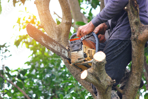 close up lumberman on tree while using chainsaw sawing wood in to pieces against blue sky white cloud photo