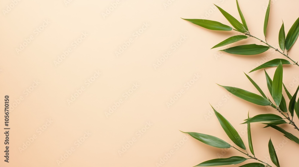 Fototapeta premium Elegant green leaves against a soft peach background, perfect for nature-themed designs and wellness concepts.