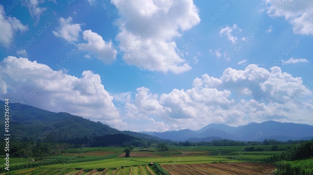 Naklejka premium The allure of a landscape filled with the beauty of blue sky, fluffy white clouds, majestic high mountains, and vibrant green plants. Generative AI