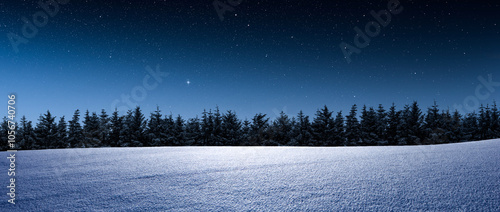 Ein Wnterwald bei Nacht im Winter