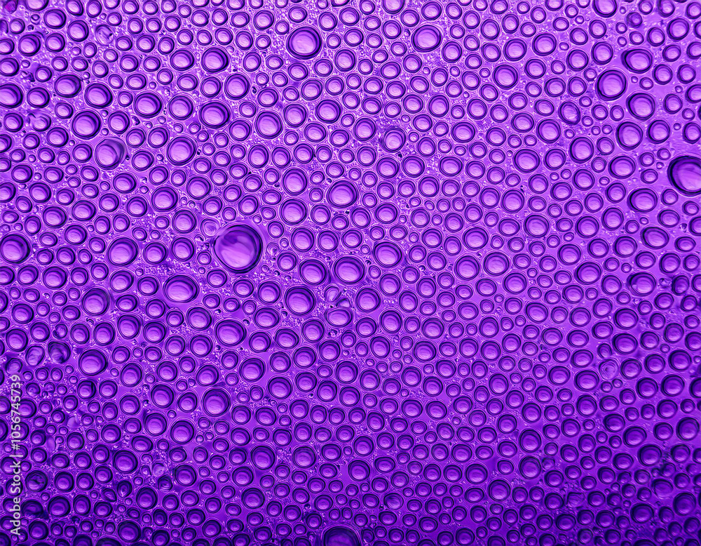 Vibrant Hues Water Droplets on Glass in Various Shades of Purple Vibrant Hues Water Droplets on Glass in Various Shades of Purple