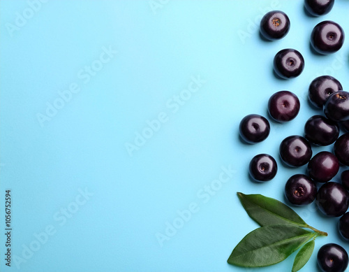 Vibrant Acai Berries Resting on a Soft Blue Canvas - Perfect Background for Creative Expression