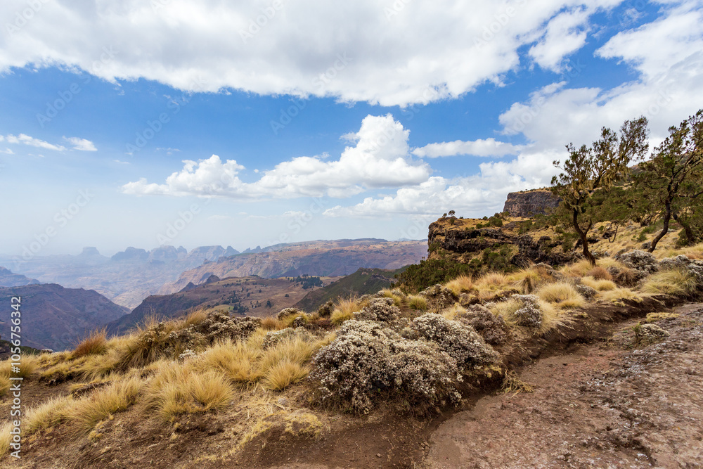 Fototapeta premium Beautiful Semien or Simien Mountains National Park landscape in Northern Ethiopia near Lalibela and Gondar. Africa wilderness.