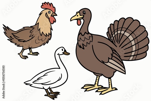 Bird Family Animal Set