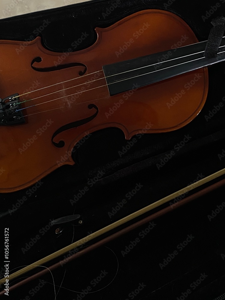 Fototapeta premium violin and bow