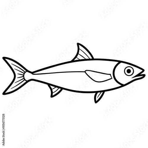 anchovy fish on a white background
