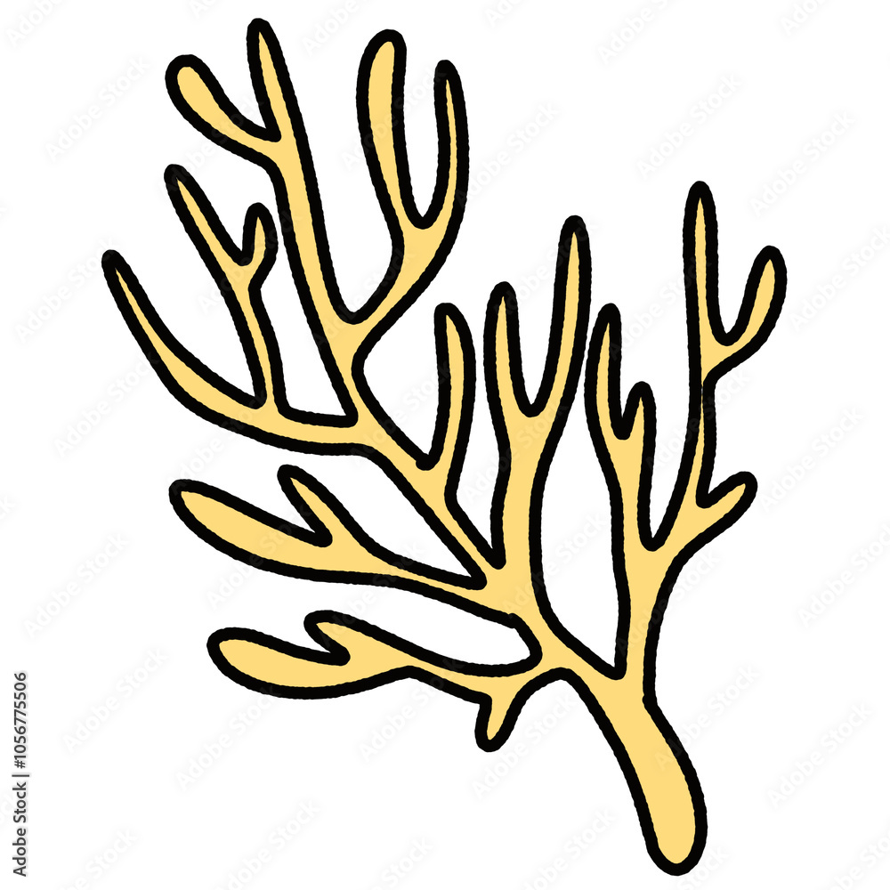 Sea animals Sea animals