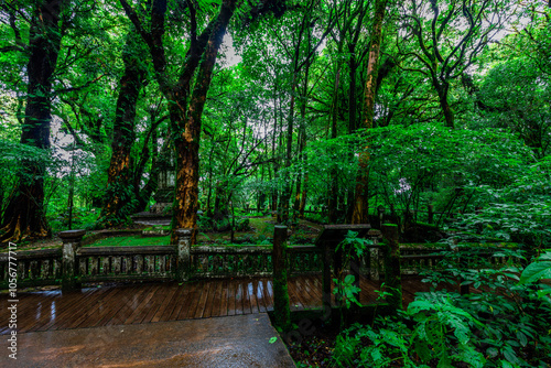 high angle nature background On the mountain overlooking the surrounding natural scenery, overlooking the sea, trees, rocks, trees, adventure tourism. photo