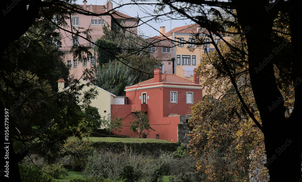 Buildings in Sintra seen from between the trees Buildings in Sintra seen from between the trees