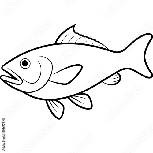 atlantic cod fish on white background