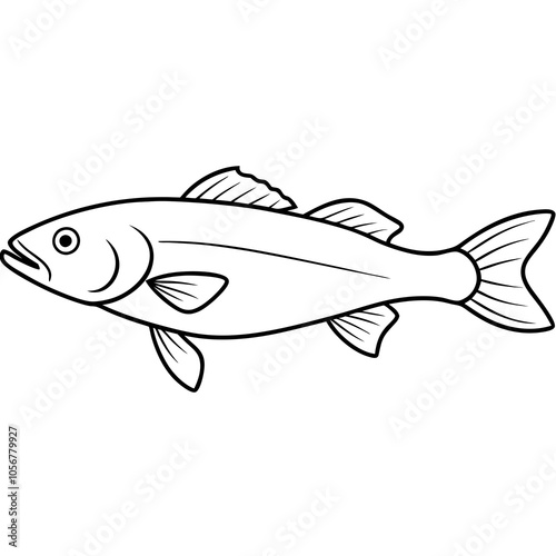 atlantic cod fish on white background