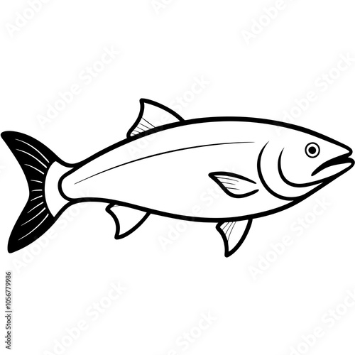 atlantic salmon fish on white background