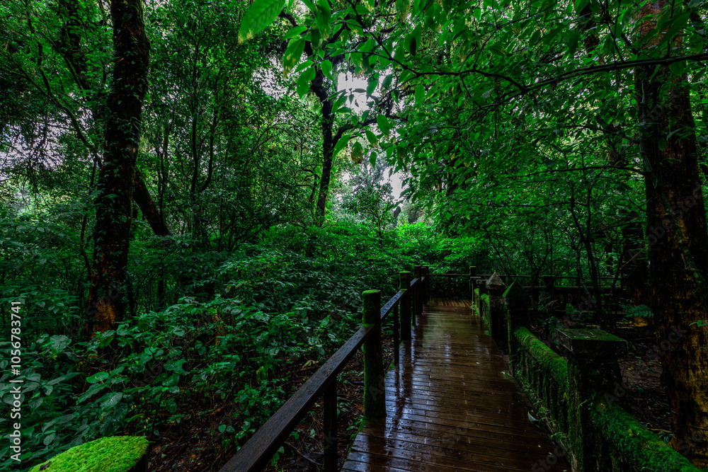 high angle nature background On the mountain overlooking the surrounding natural scenery, overlooking the sea, trees, rocks, trees, adventure tourism. high angle nature background On the mountain overlooking the surrounding natural scenery, overlooking the sea, trees, rocks, trees, adventure tourism.