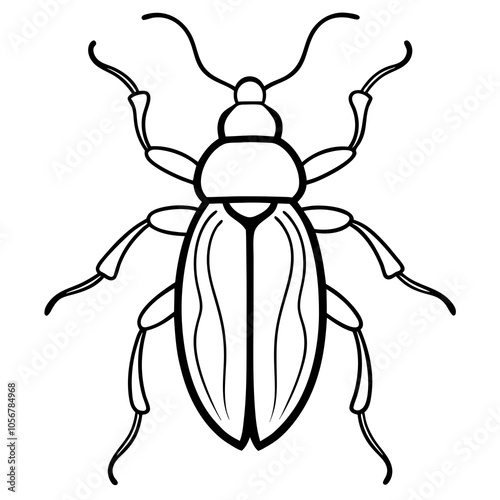 illustration of a beetle