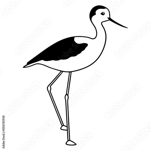 black necked stilt  on the background
