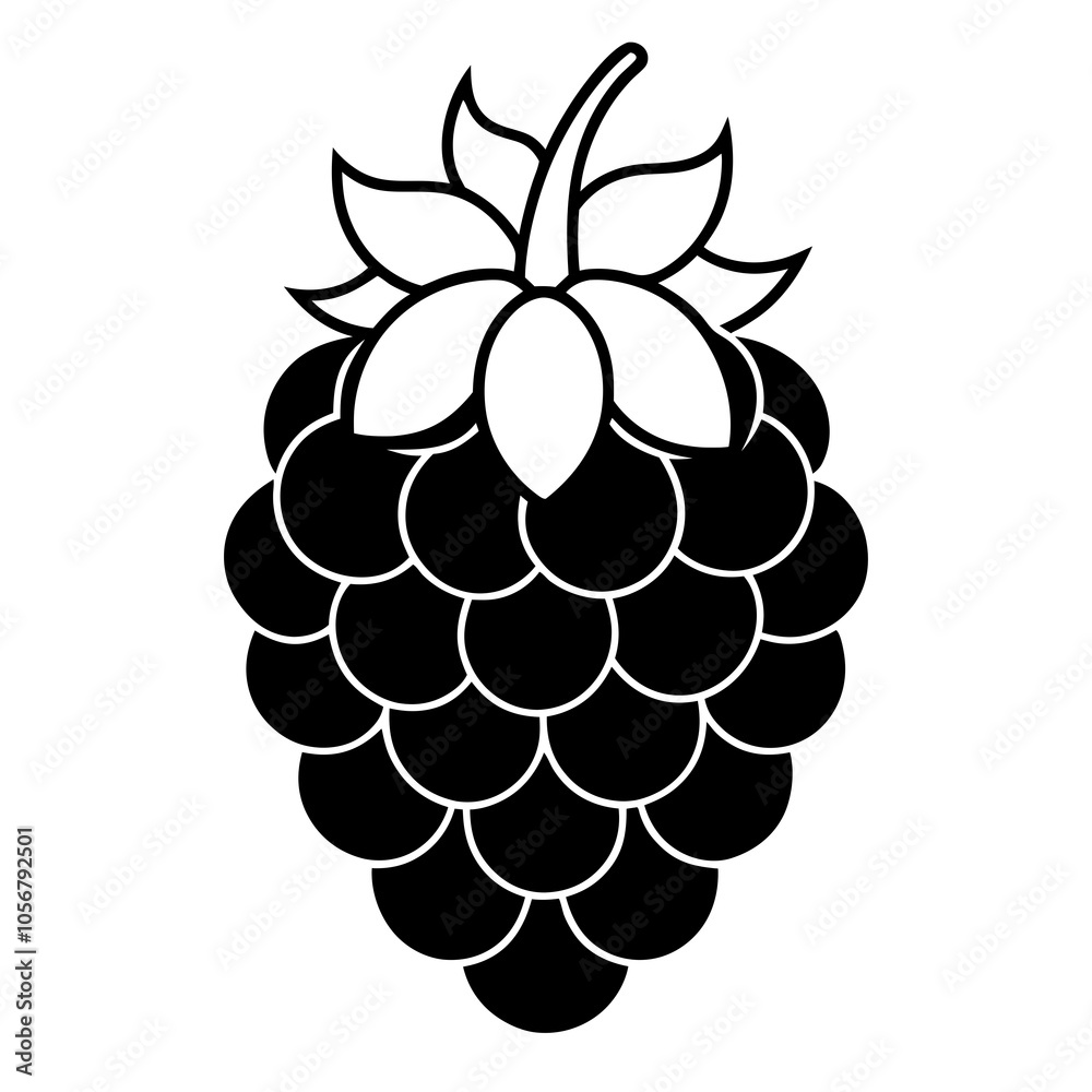 illustration of boysenberry with leaves illustration of boysenberry with leaves