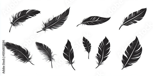 Elegant Black Feather Design