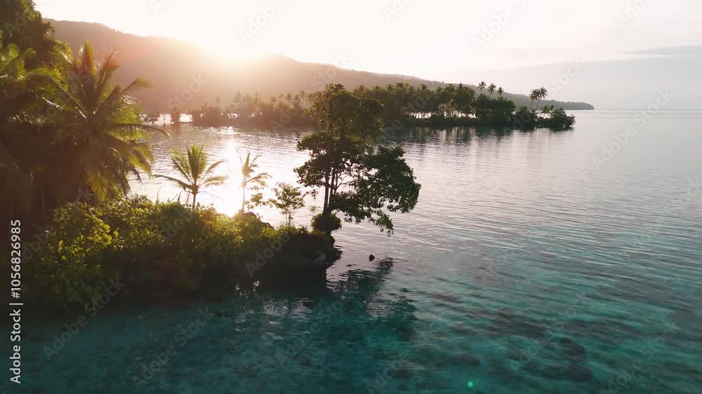 Tropical landscape with mangrove trees in ocean lagoon and sunrise or sunset sunlight in Indonesia.