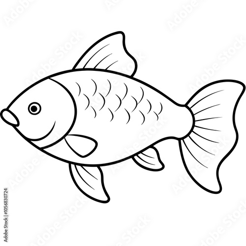 common carp fish on a white background
