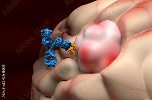 Monoclonal antibody therapy in Meningioma - closeup view 3d illustration photo