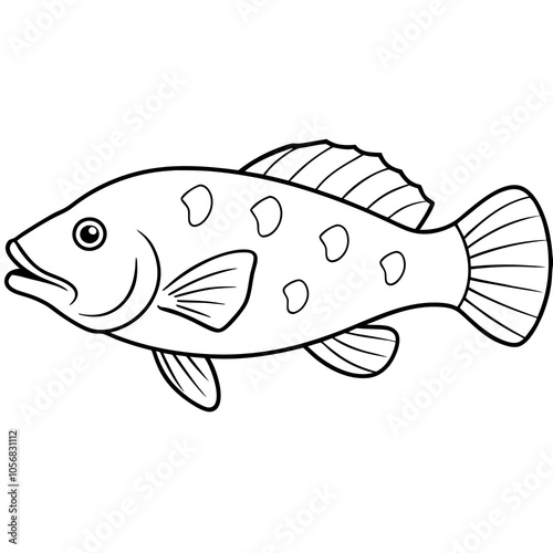 illustration of a coral grouper fish