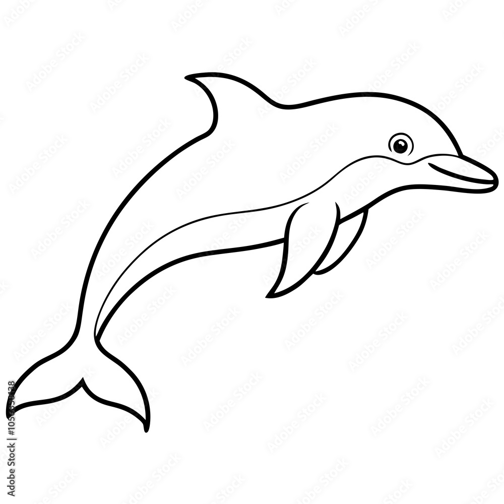 dolphin isolated on white background dolphin isolated on white background