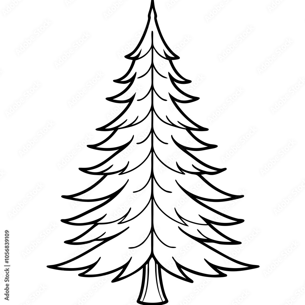 douglas fir trees isolated on white douglas fir trees isolated on white