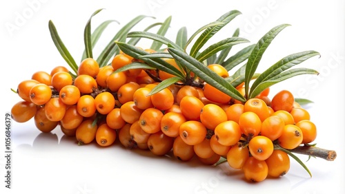 close-up of sea buckthorn berries isolated on white background