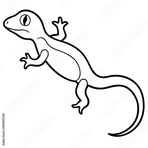 gecko on white