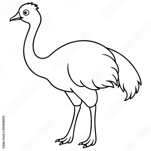 emu isolated on white