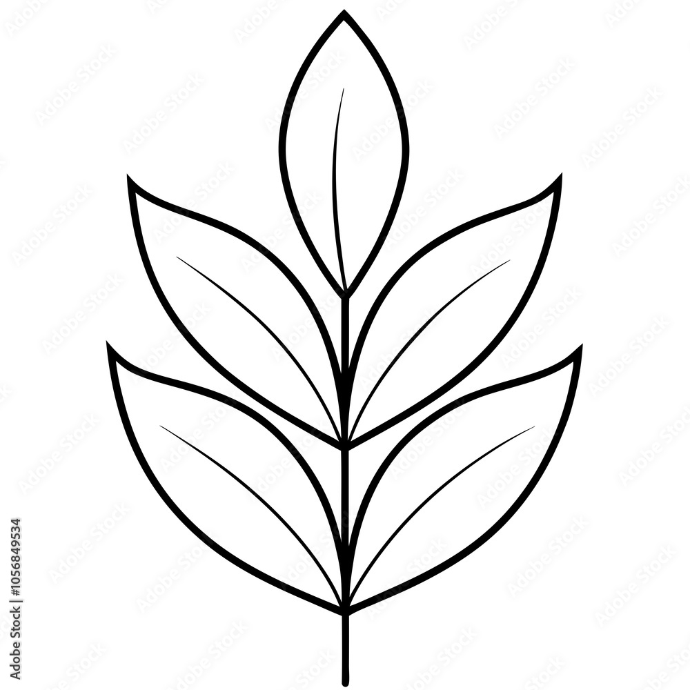 illustration of a euphorbia plant illustration of a euphorbia plant