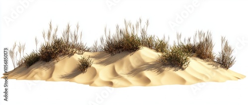 Fototapeta Naklejka Na Ścianę i Meble -  Desert Sand Dune with Sparse Vegetation