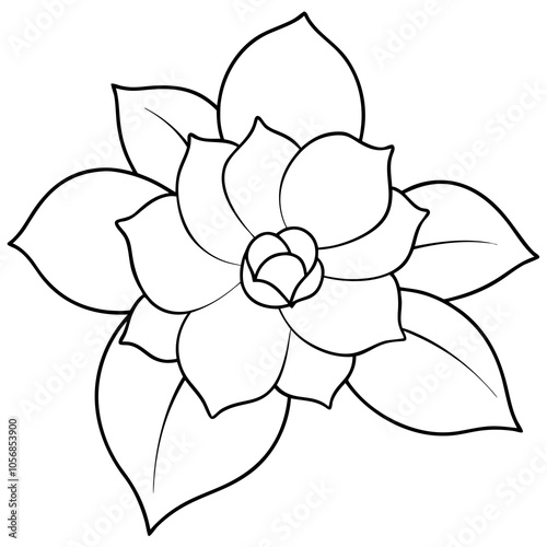 gardenia isolated on white