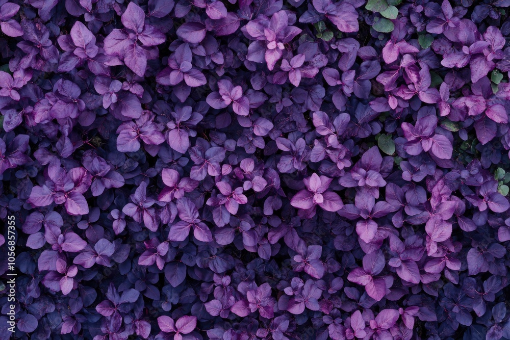 A close-up view of a vibrant purple flower arrangement A close-up view of a vibrant purple flower arrangement