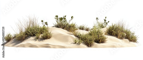 Fototapeta Naklejka Na Ścianę i Meble -  Sand Dune with Desert Plants