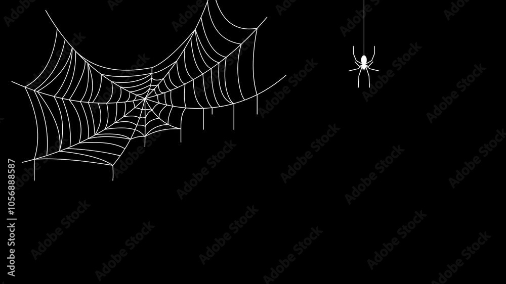 Spider and spider web animation on Halloween theme. Black Halloween video. 