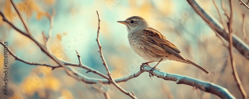 A small bird perched on a branch in a serene natural setting, showcasing the beauty of wildlife in a tranquil environment. photo