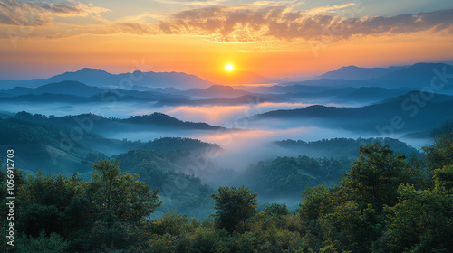 Wallpaper Mural Sunrise over a misty mountain range with green forests and a golden sky, a serene and peaceful landscape perfect for use in travel and nature documentaries, websites, and social media. Torontodigital.ca