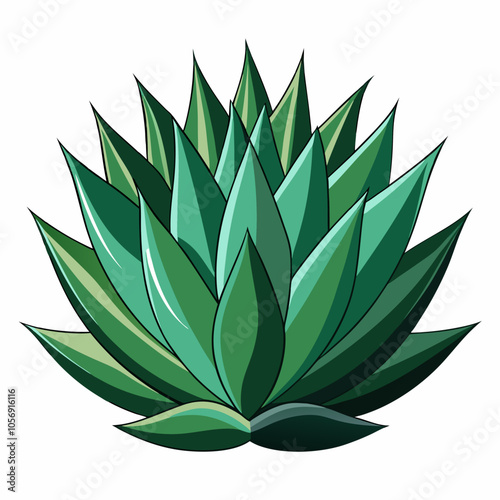 agave plant leaves