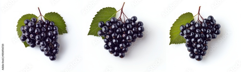 Fototapeta premium Dark Berries with Leaves