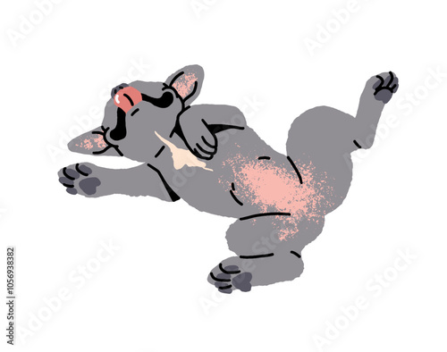 Funny French Bulldog with cute belly sleeps. Happy asleep puppy with gray color shows tongue. Amusing little dog has a rest. Adorable pet, animal relaxes. Flat isolated vector illustration on white